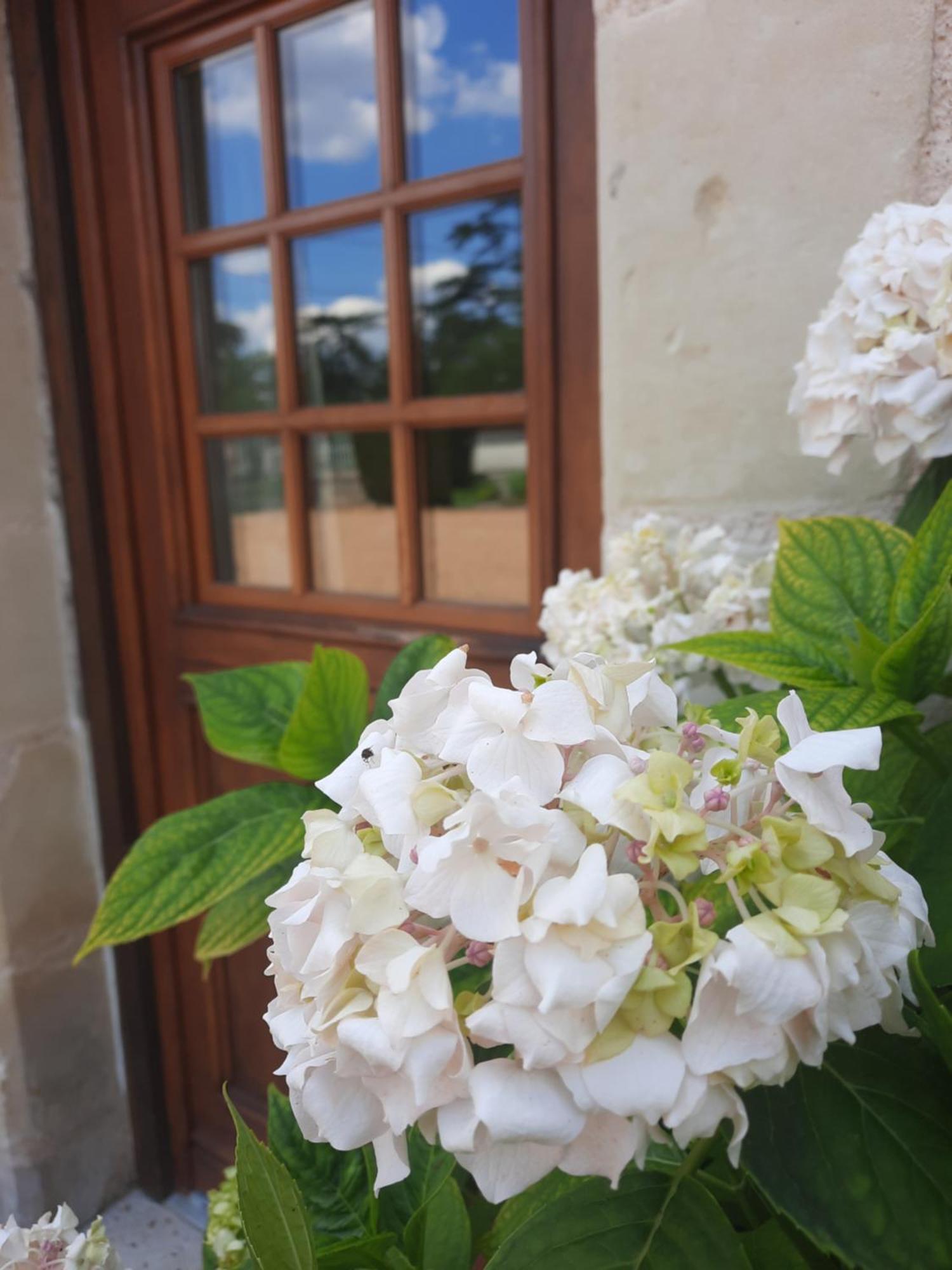 La Maison Genevier - Chambre Marguerite Montreuil-en-Touraine ภายนอก รูปภาพ