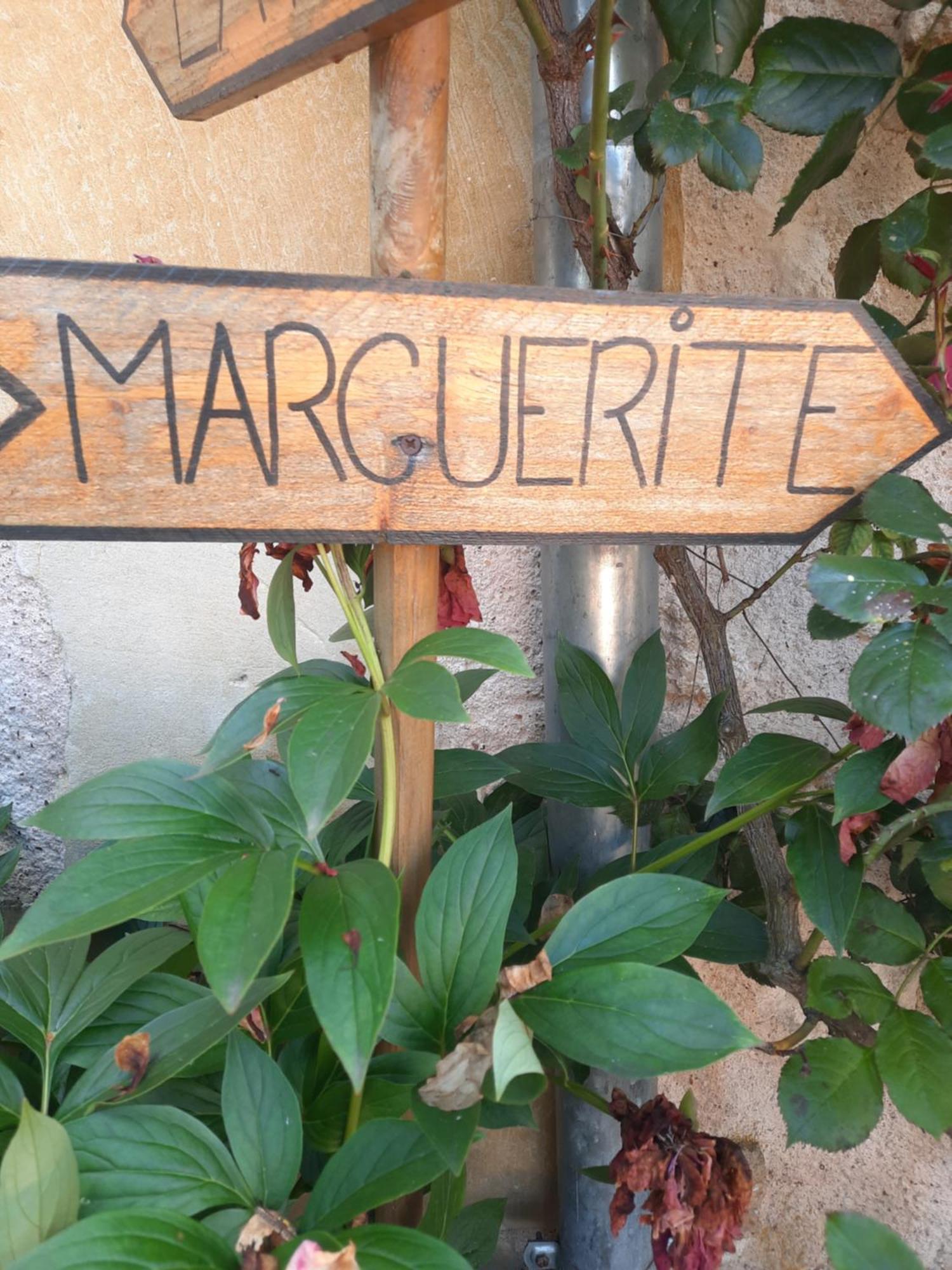 La Maison Genevier - Chambre Marguerite Montreuil-en-Touraine ภายนอก รูปภาพ