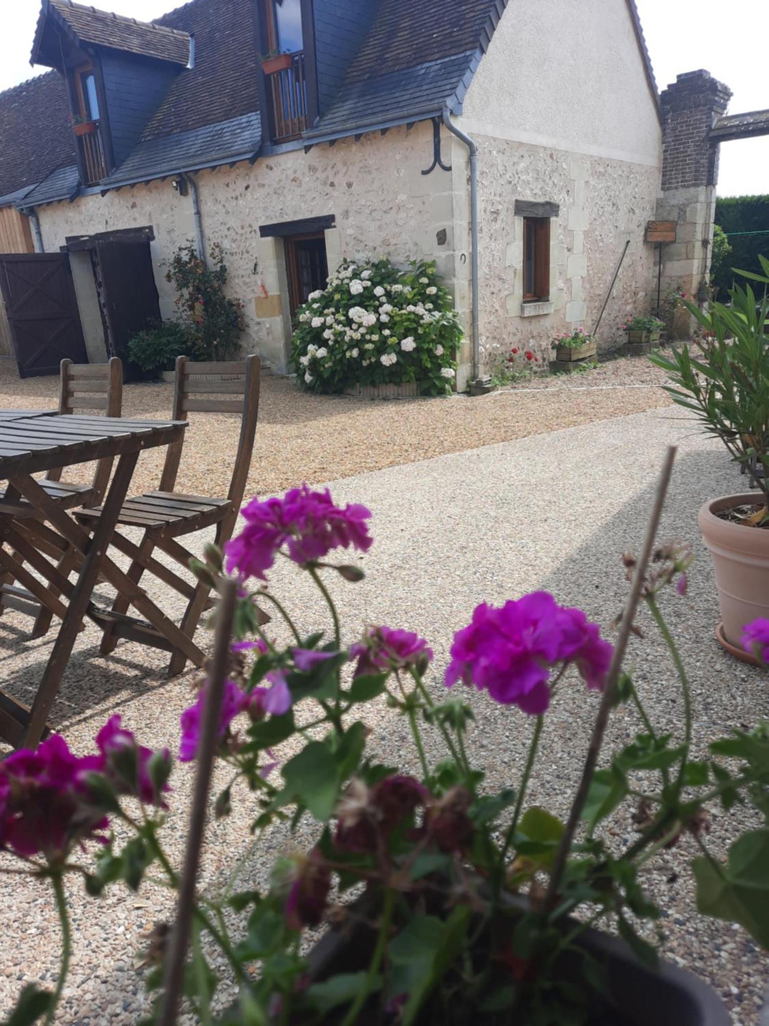 La Maison Genevier - Chambre Marguerite Montreuil-en-Touraine ภายนอก รูปภาพ